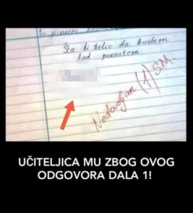 NA PITANJE “ŠTA BI ŽELIO DA BUDEM KAD PORASTEM”, DJEČAK JE NAPISAO SAMO OVU RIJEČ: Učiteljica mu odmah dala 1