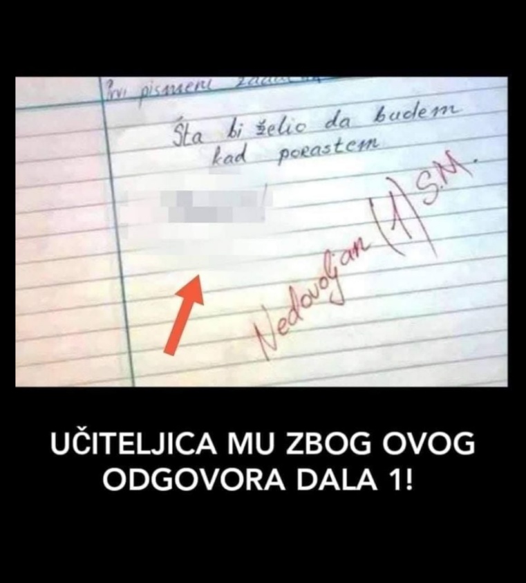 NA PITANJE “ŠTA BI ŽELIO DA BUDEM KAD PORASTEM”, DJEČAK JE NAPISAO SAMO OVU RIJEČ: Učiteljica mu odmah dala 1